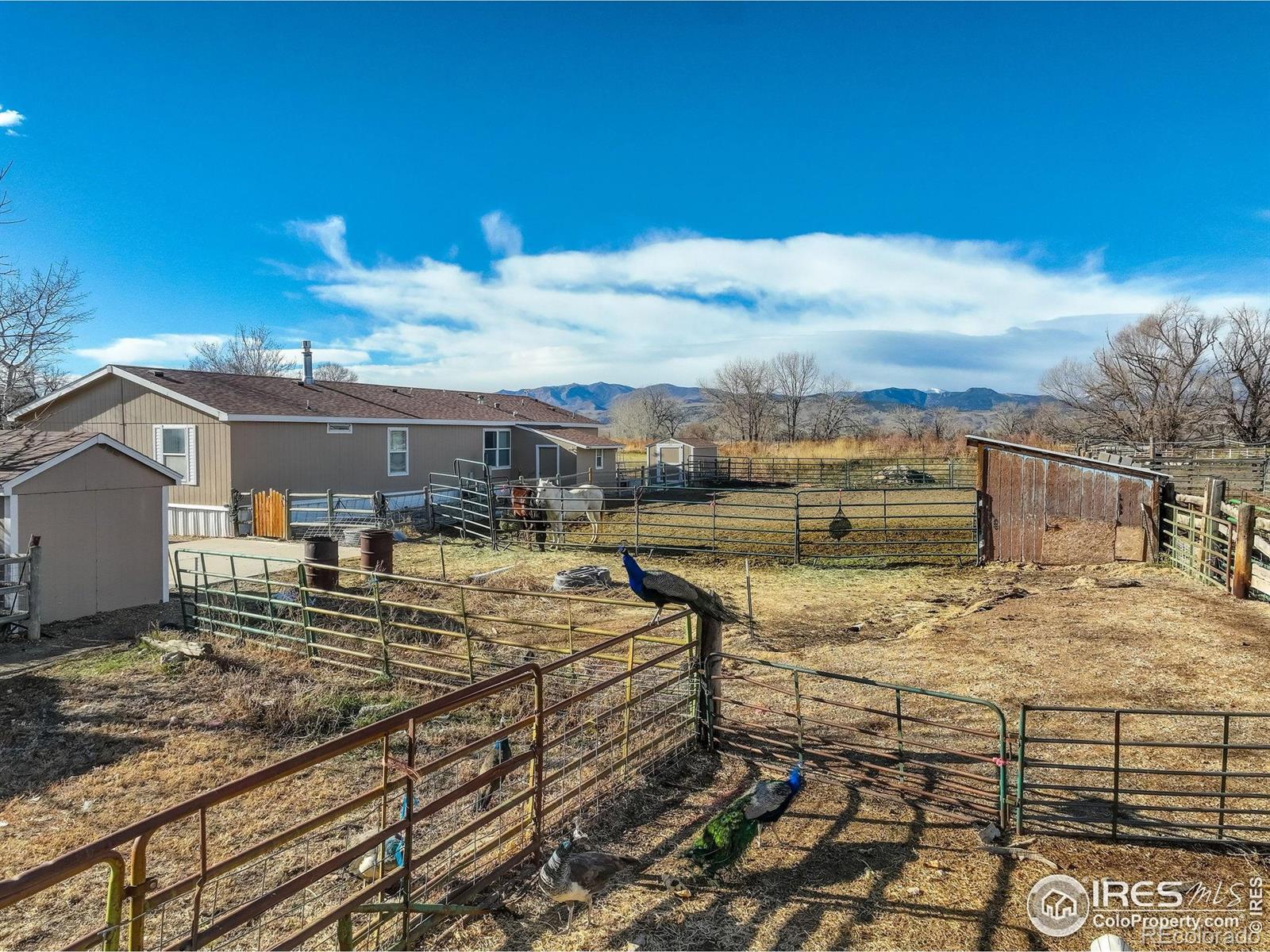 MLS Image #14 for 12745 n 75th street,longmont, Colorado