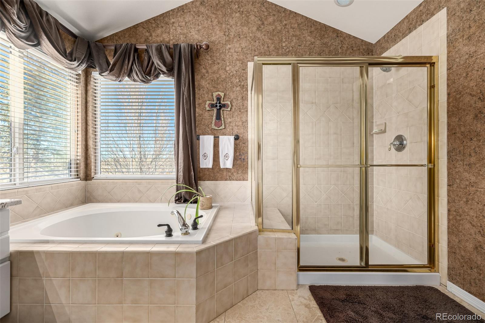 MLS Image #20 for 21916 e costilla drive,aurora, Colorado