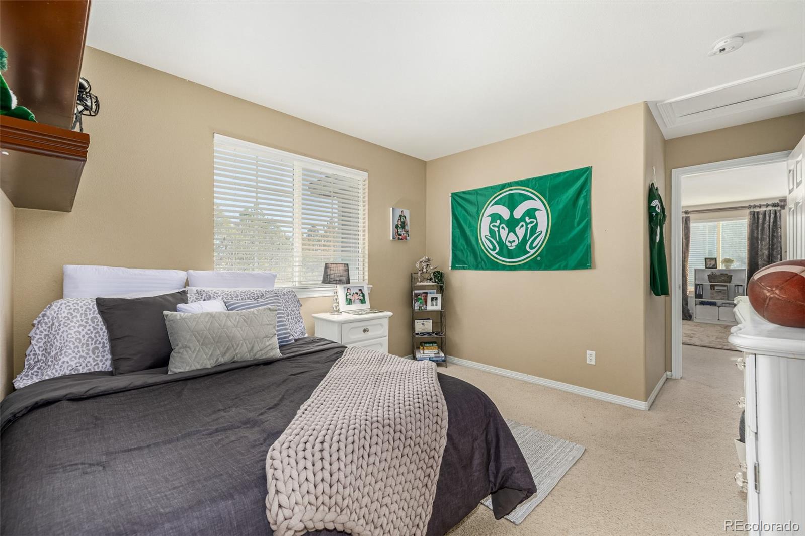 MLS Image #23 for 21916 e costilla drive,aurora, Colorado