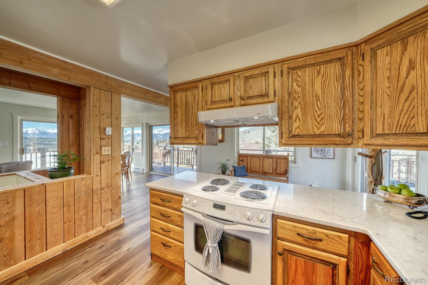 MLS Image #11 for 381  empire valley drive,leadville, Colorado