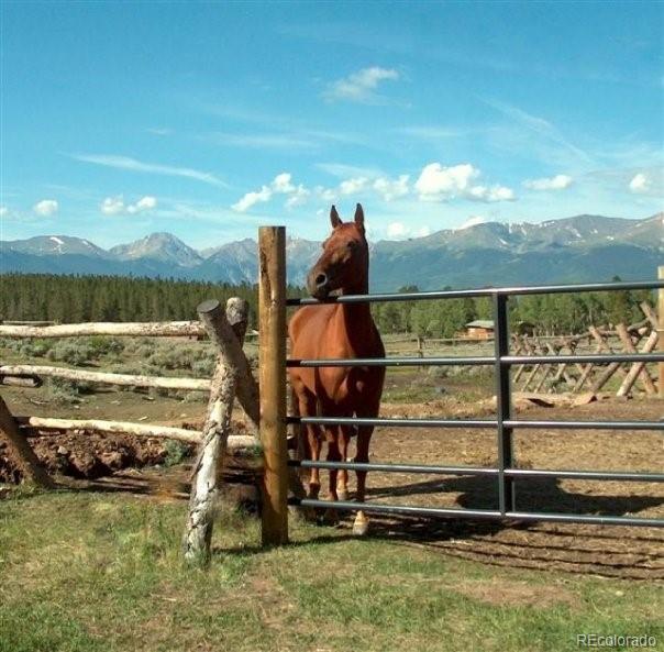 MLS Image #49 for 381  empire valley drive,leadville, Colorado