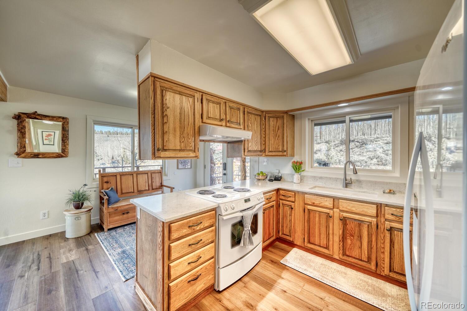 MLS Image #9 for 381  empire valley drive,leadville, Colorado