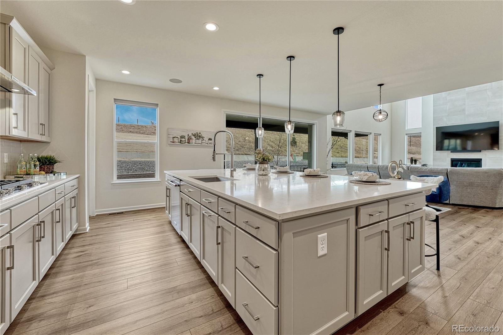 MLS Image #13 for 5428  brotherton court,castle rock, Colorado