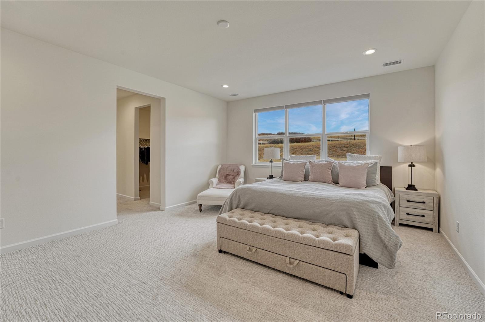 MLS Image #19 for 5428  brotherton court,castle rock, Colorado