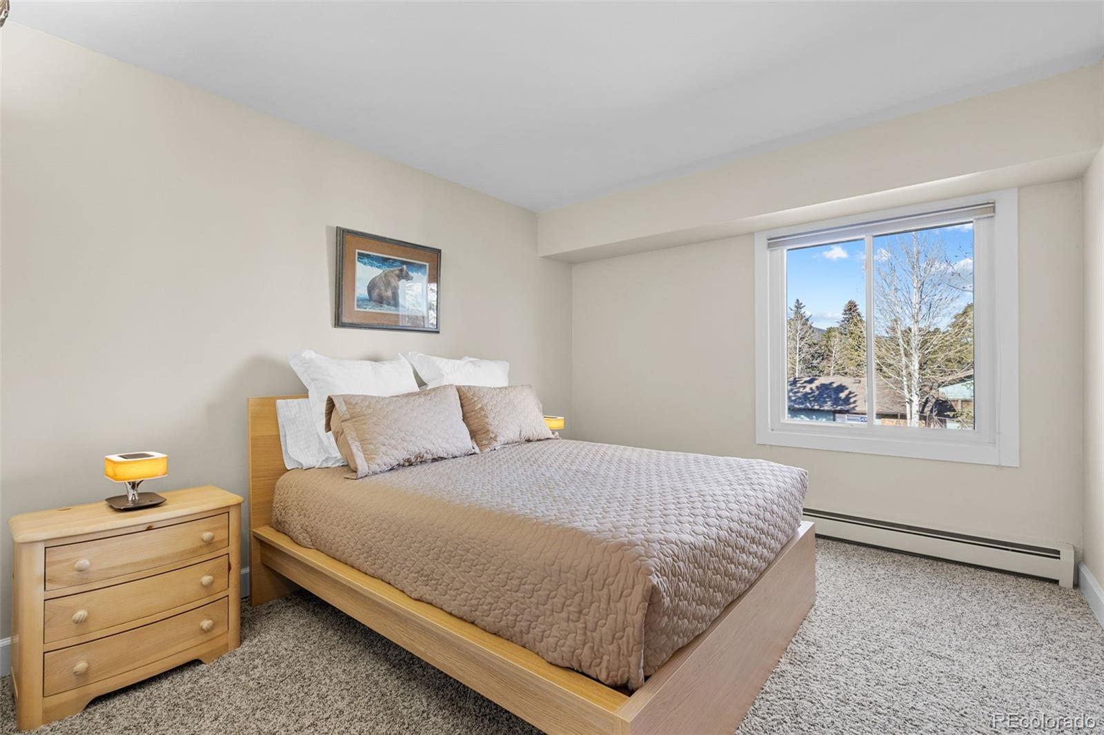 MLS Image #10 for 29704  paint brush drive,evergreen, Colorado