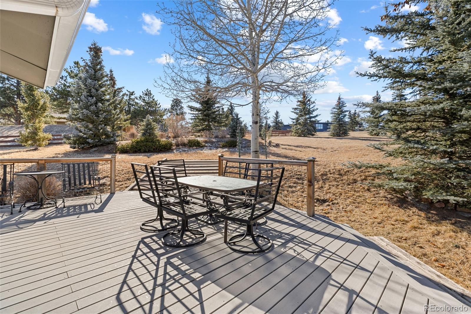 MLS Image #14 for 29704  paint brush drive,evergreen, Colorado