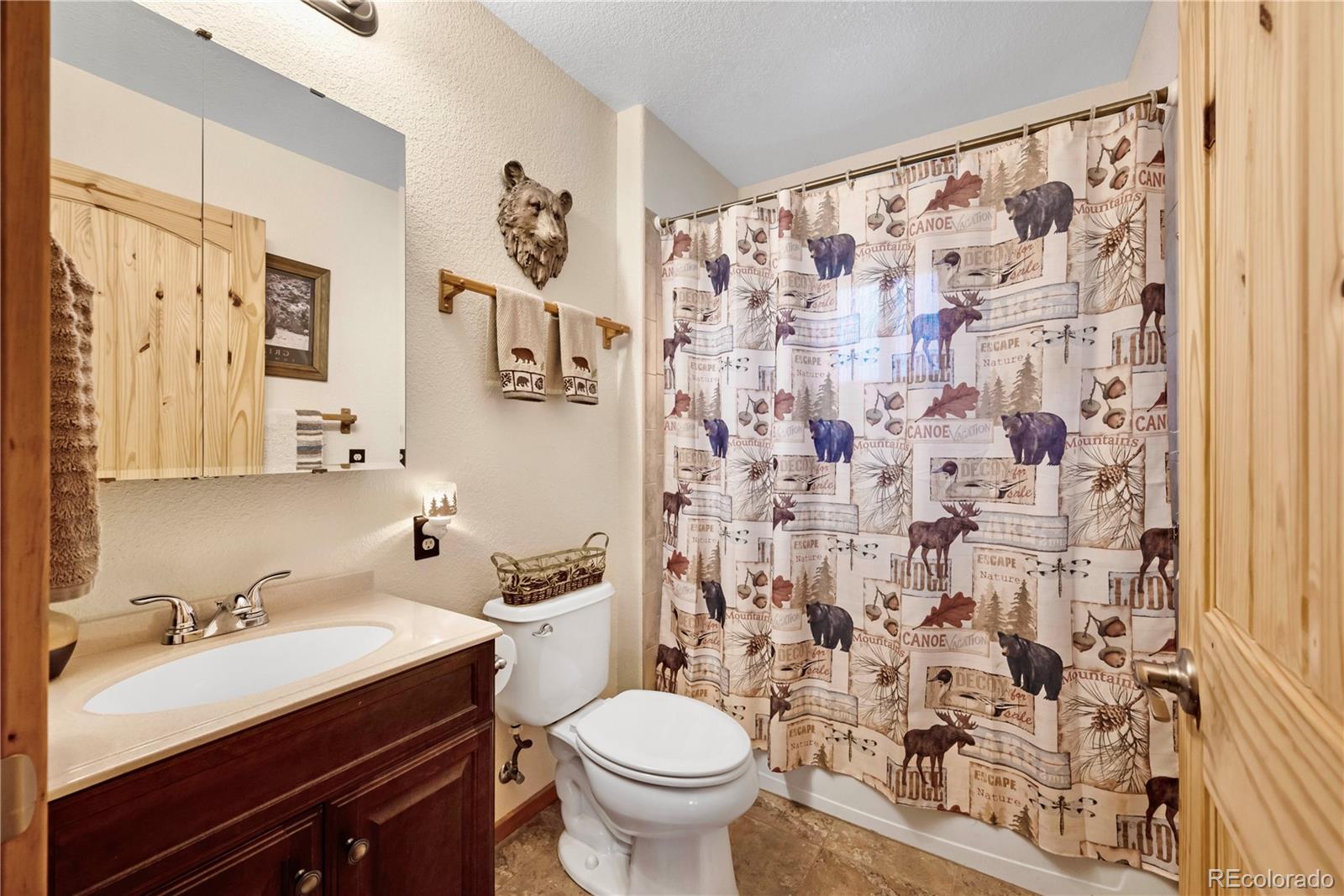 MLS Image #18 for 47  piaute way,jefferson, Colorado