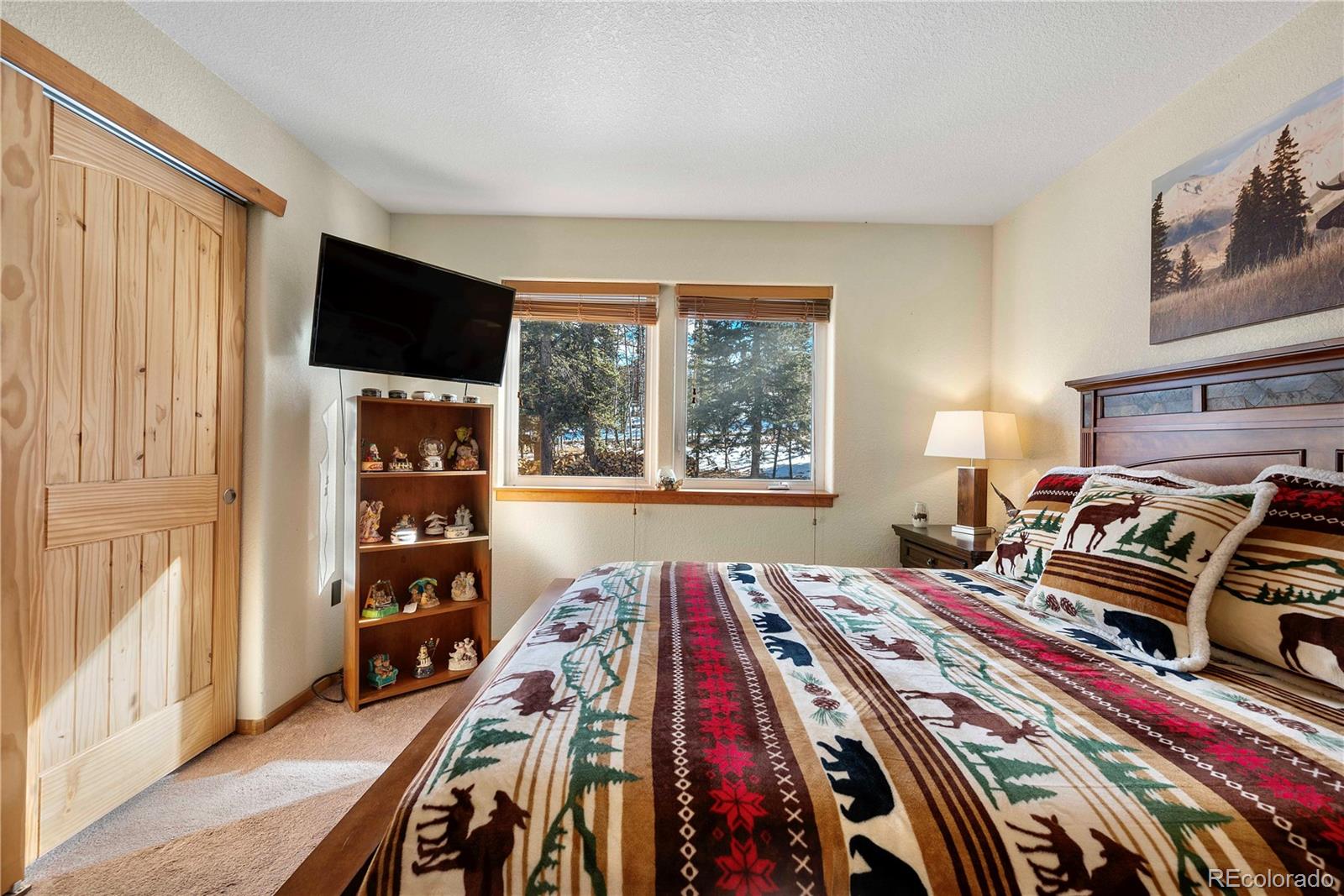MLS Image #25 for 47  piaute way,jefferson, Colorado