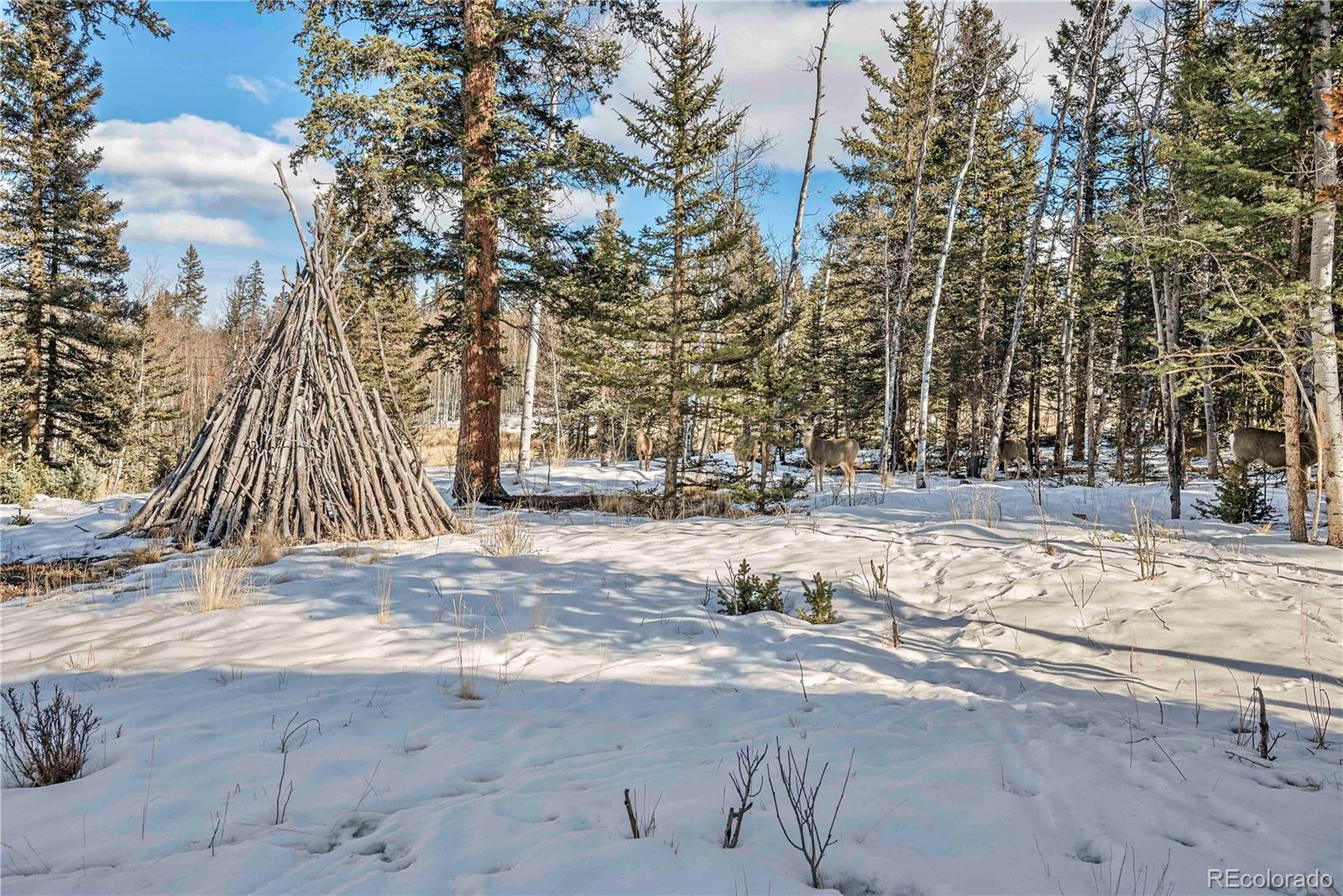MLS Image #35 for 47  piaute way,jefferson, Colorado