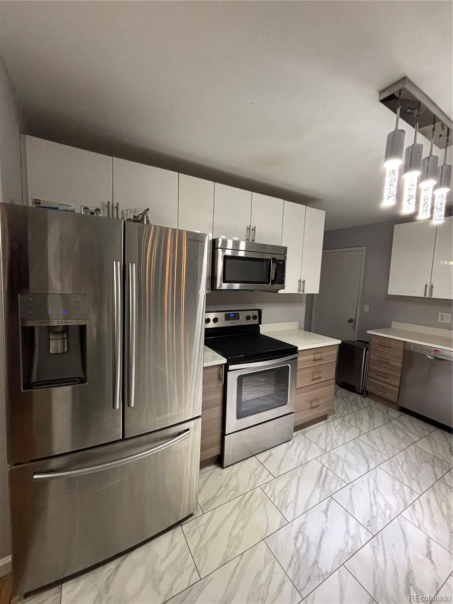 MLS Image #18 for 2704 s zurich court,denver, Colorado