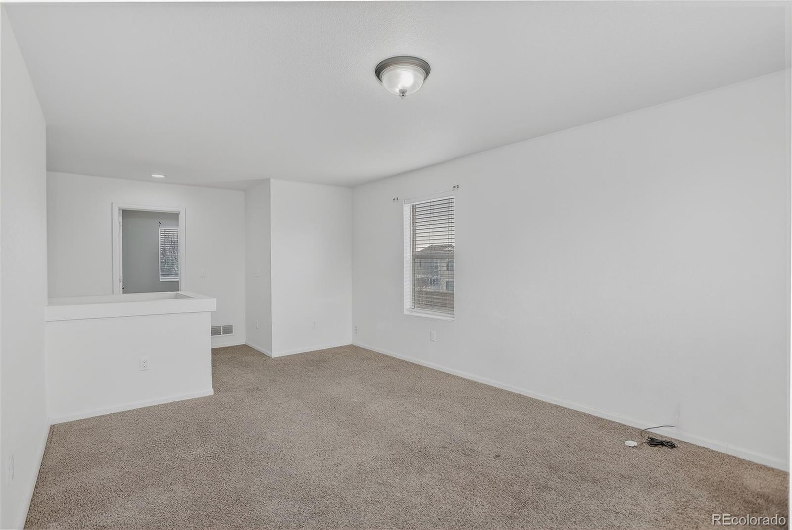 MLS Image #31 for 19609 e 47th drive ,denver, Colorado