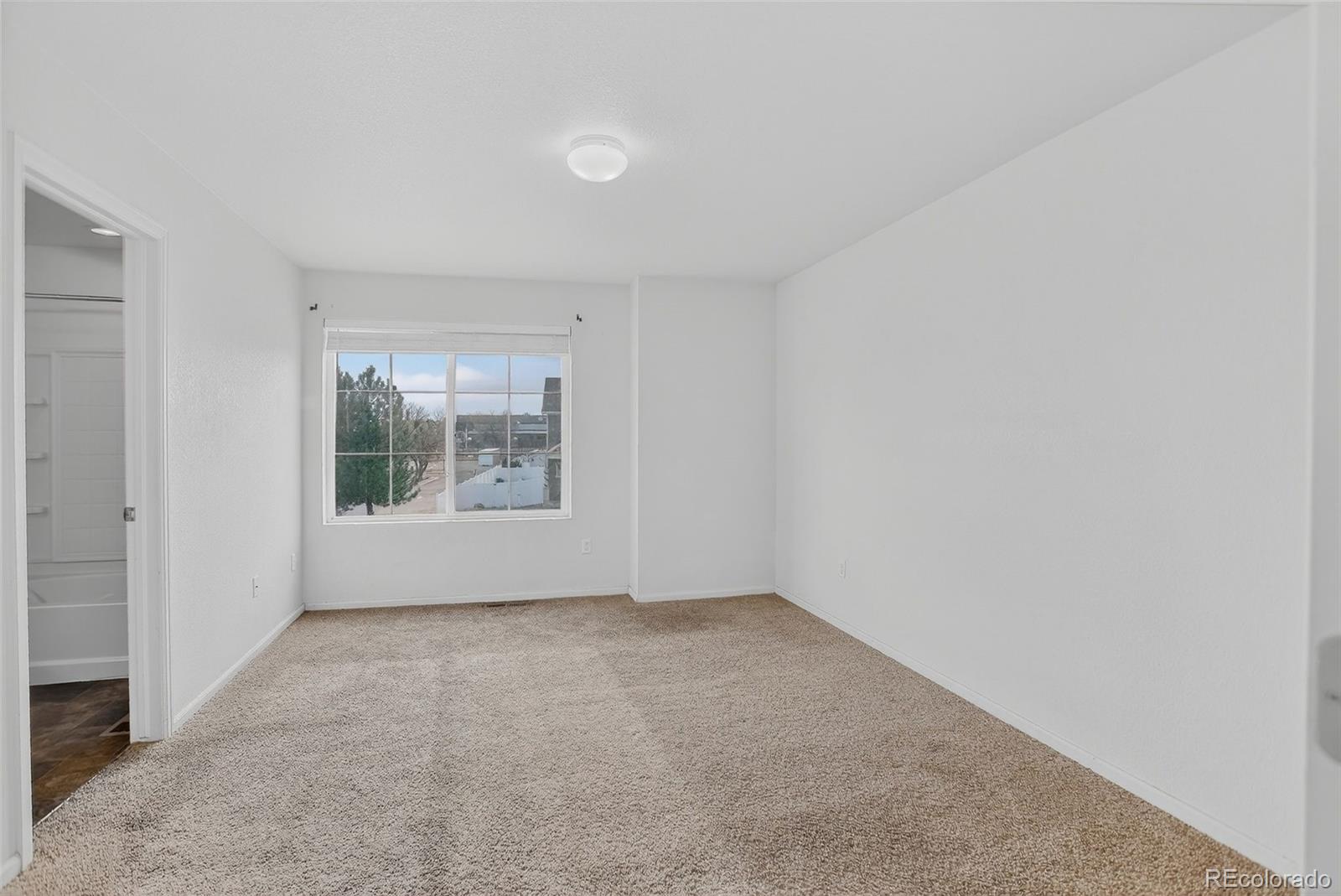 MLS Image #35 for 19609 e 47th drive ,denver, Colorado