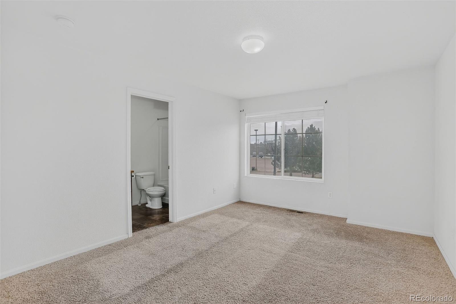 MLS Image #38 for 19609 e 47th drive ,denver, Colorado