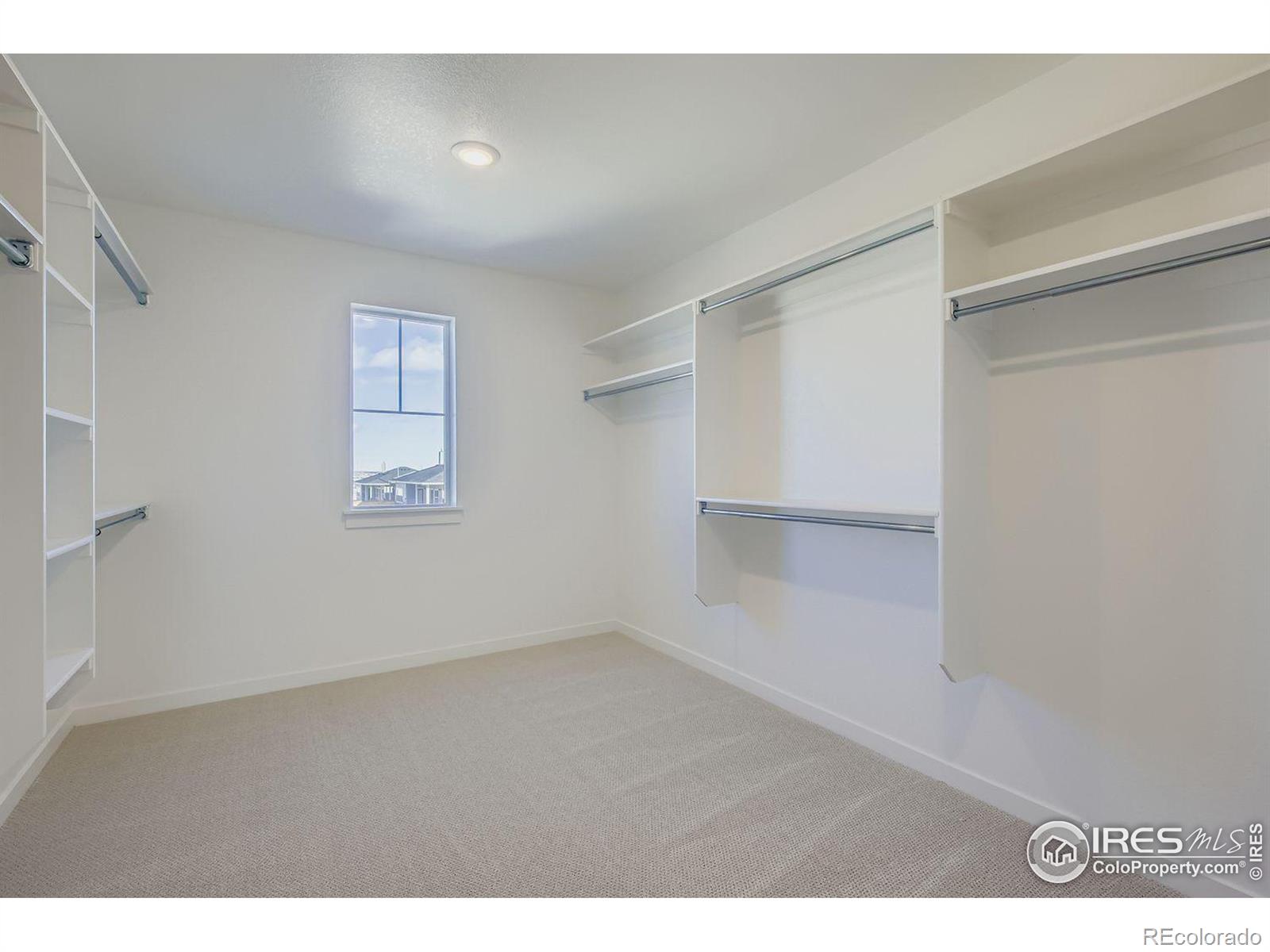 MLS Image #19 for 1833  flourish drive,windsor, Colorado