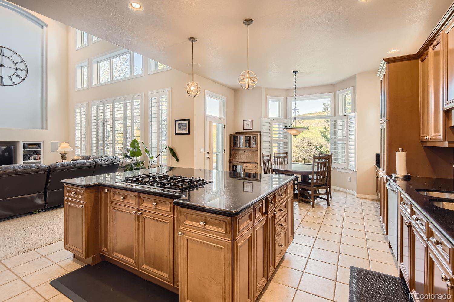 MLS Image #11 for 10456  carriage club drive,lone tree, Colorado