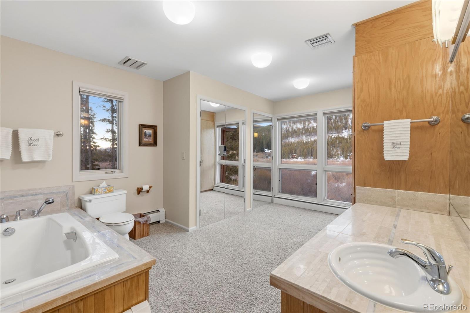 MLS Image #18 for 6620  highway 9 ,breckenridge, Colorado