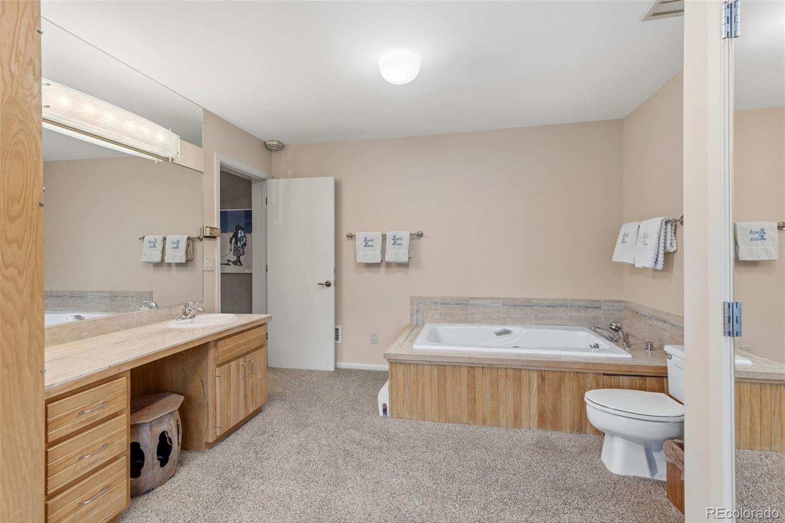 MLS Image #19 for 6620  highway 9 ,breckenridge, Colorado
