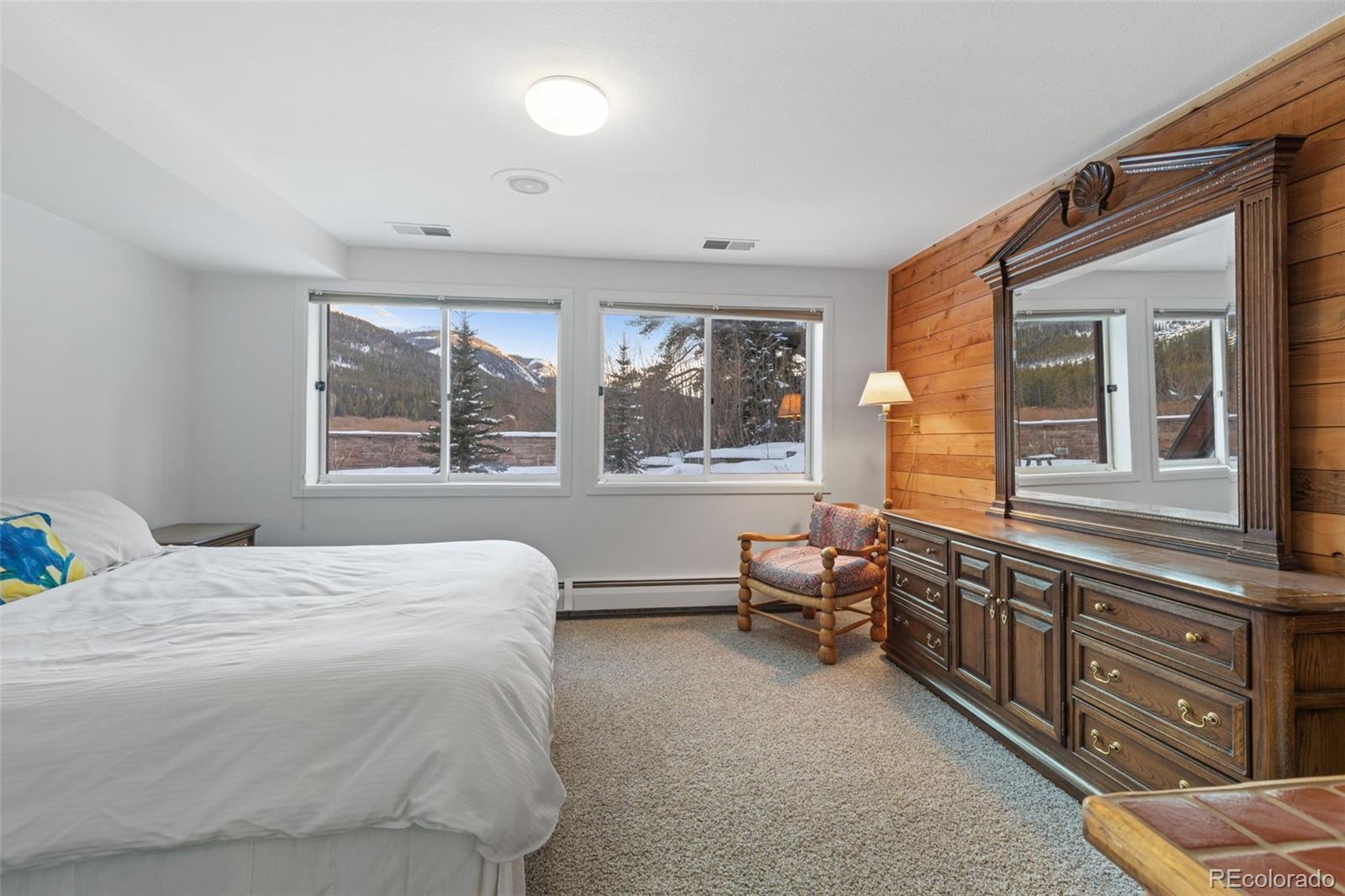 MLS Image #29 for 6620  highway 9 ,breckenridge, Colorado