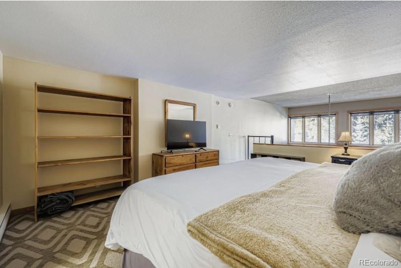 MLS Image #10 for 22340  us highway 6 ,keystone, Colorado