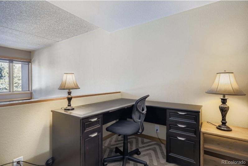 MLS Image #11 for 22340  us highway 6 ,keystone, Colorado