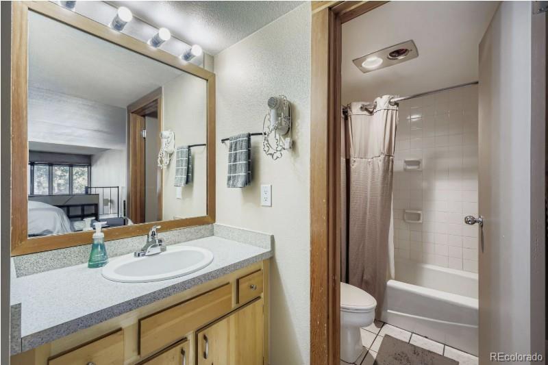 MLS Image #12 for 22340  us highway 6 ,keystone, Colorado