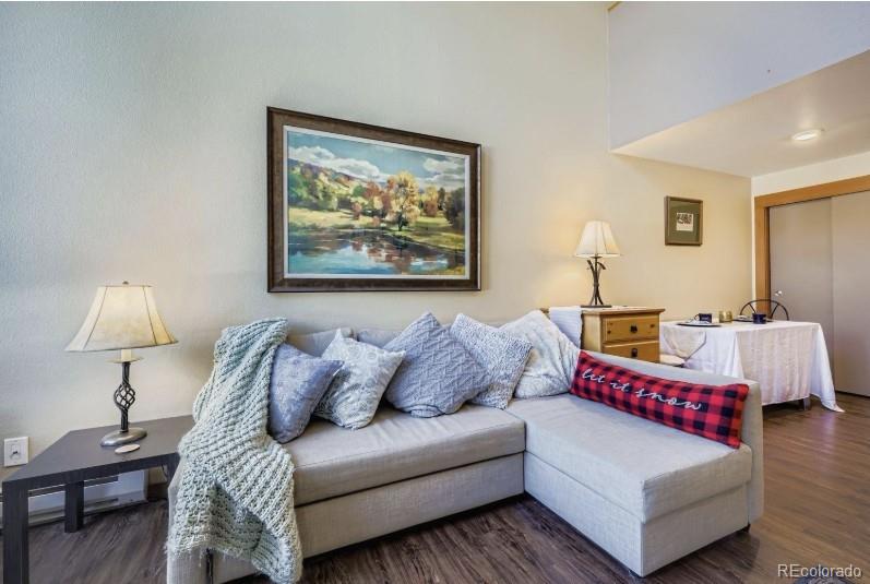 MLS Image #2 for 22340  us highway 6 ,keystone, Colorado