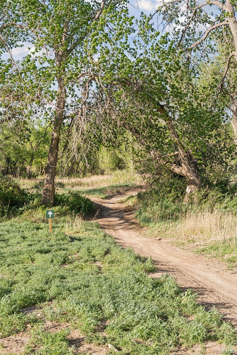 MLS Image #36 for 16880-16885  old pueblo road,fountain, Colorado