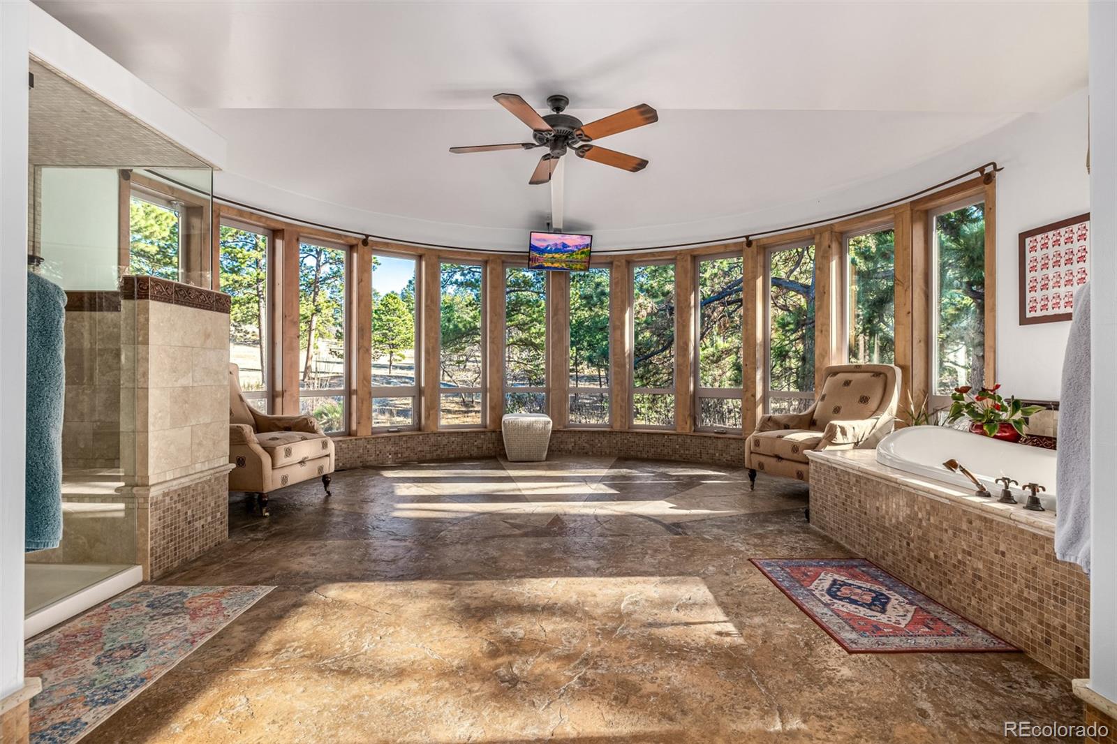 MLS Image #13 for 10231  democrat road,parker, Colorado