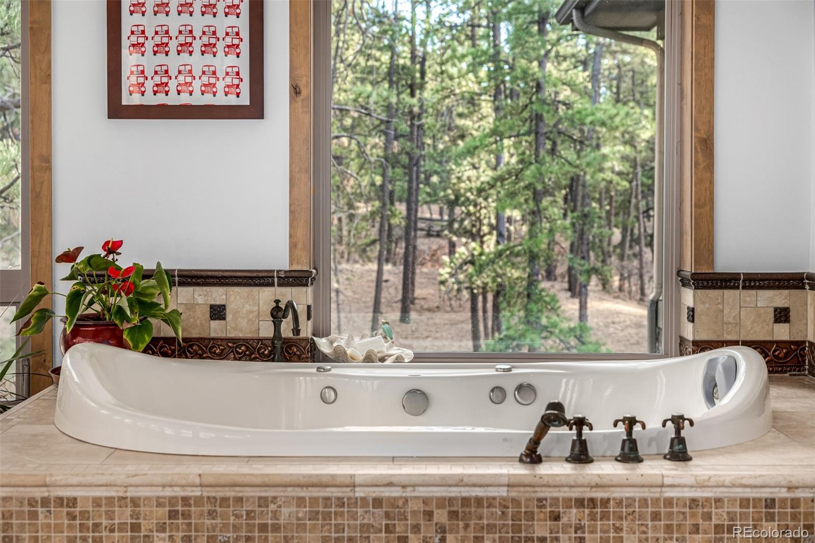MLS Image #14 for 10231  democrat road,parker, Colorado