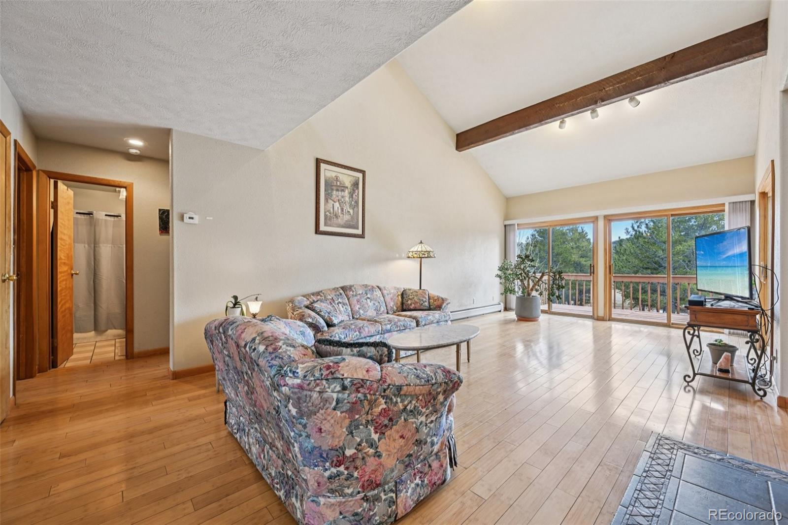 MLS Image #9 for 206  pinon circle,black hawk, Colorado
