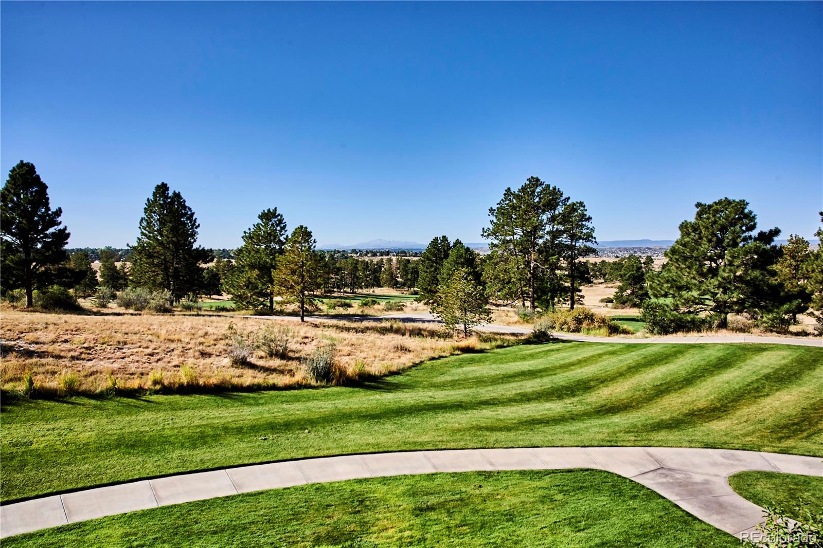 MLS Image #13 for 7973  star lily court,parker, Colorado