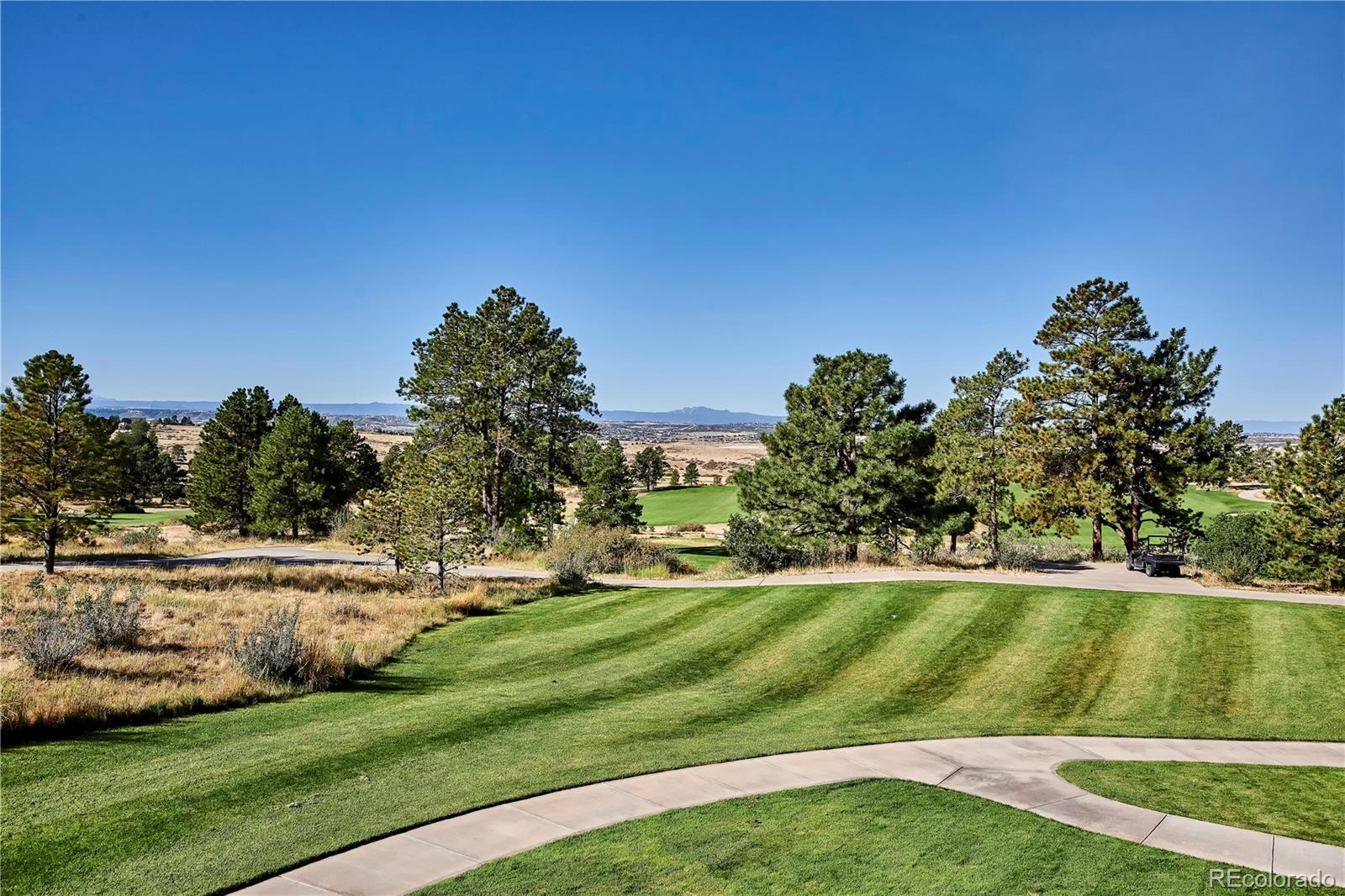 MLS Image #16 for 7973  star lily court,parker, Colorado