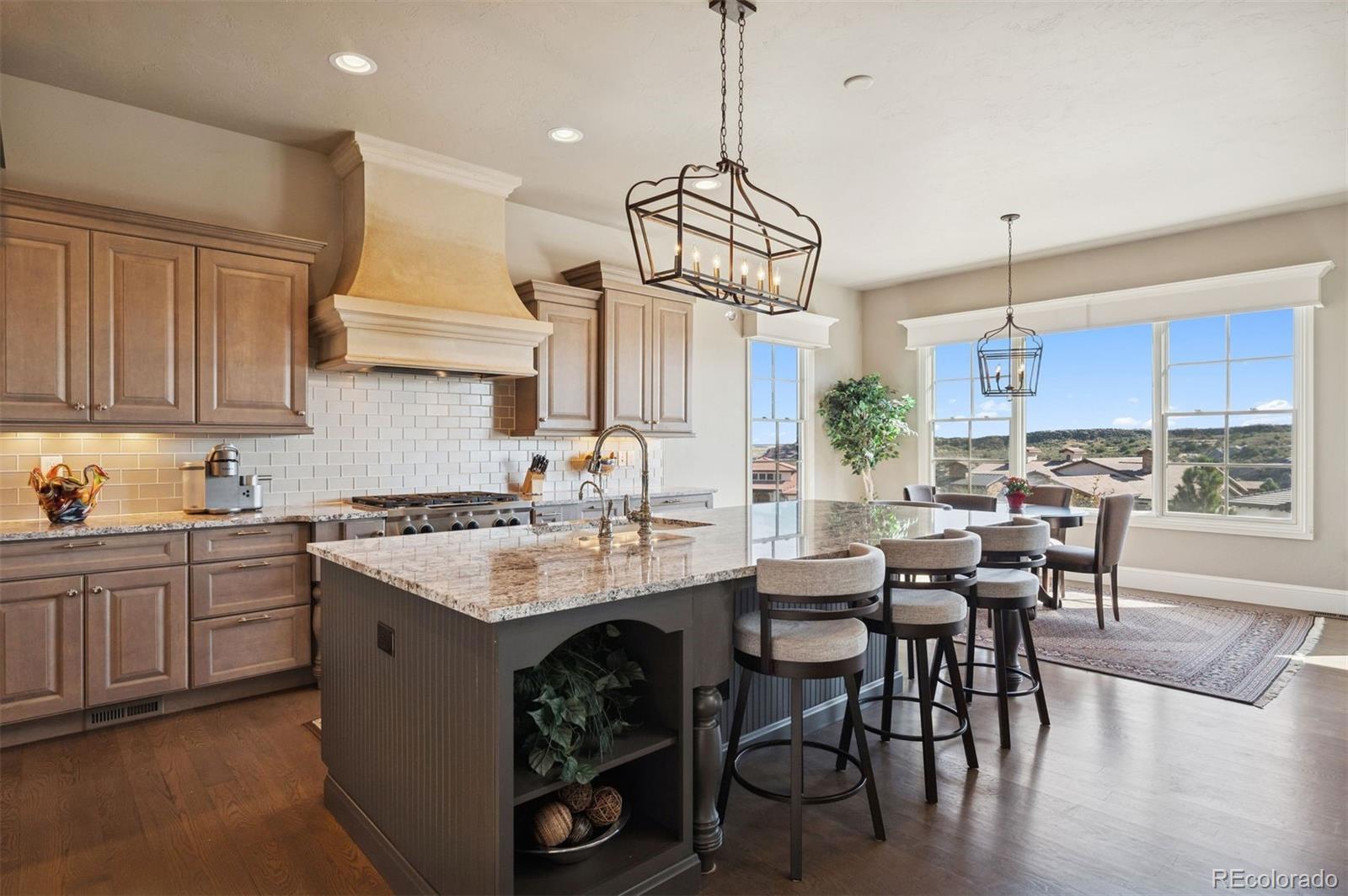 MLS Image #10 for 8056  galileo way,littleton, Colorado