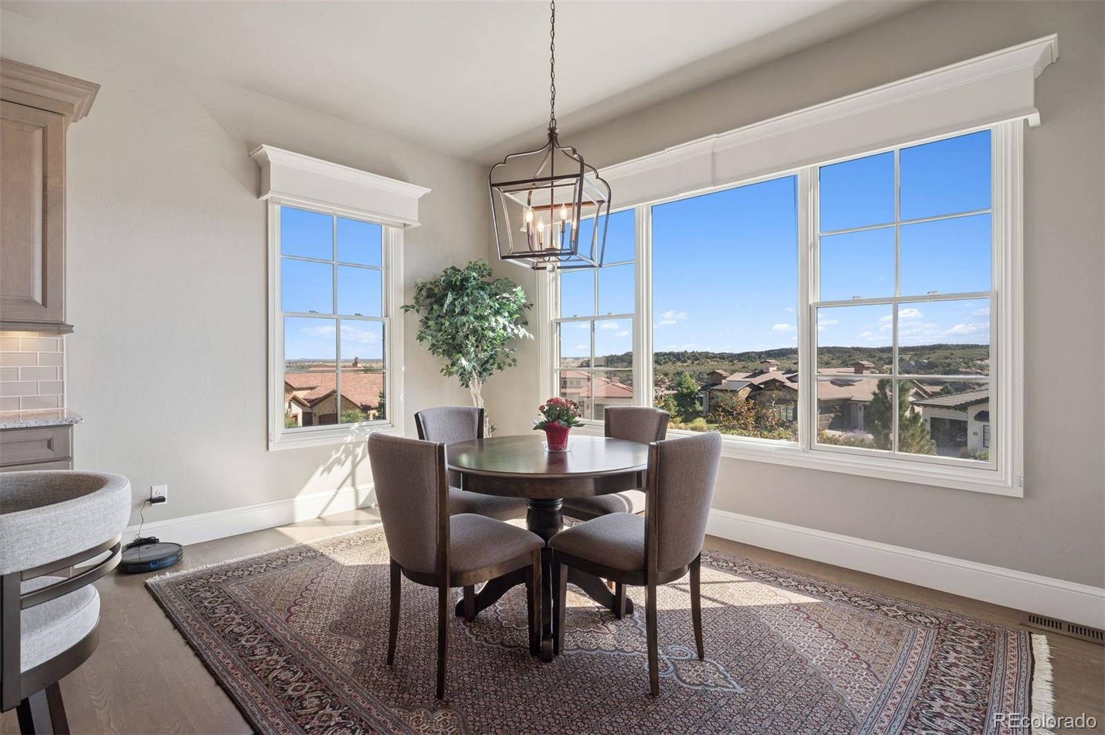 MLS Image #14 for 8056  galileo way,littleton, Colorado
