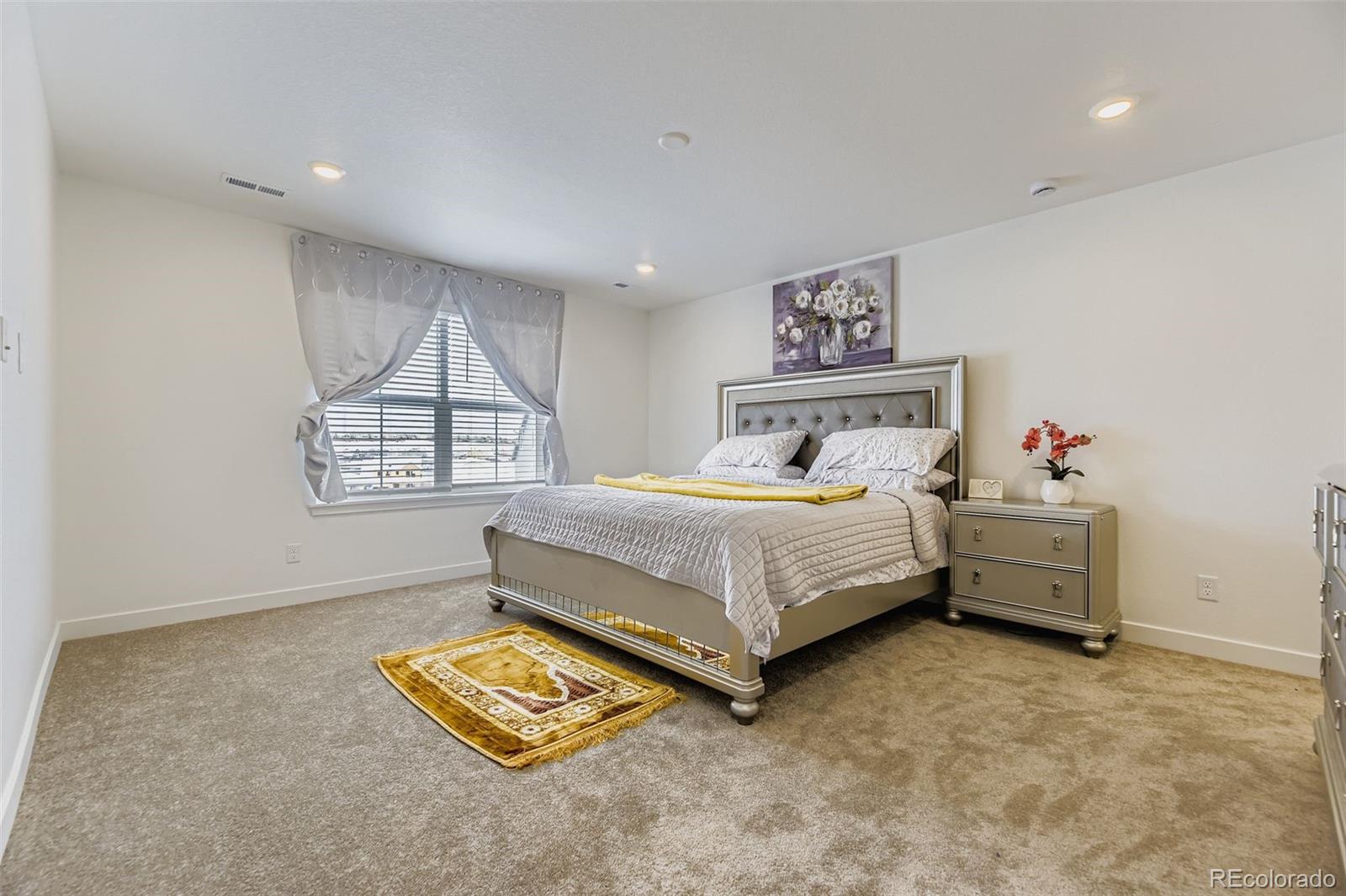 MLS Image #15 for 10912  snowdon street,parker, Colorado