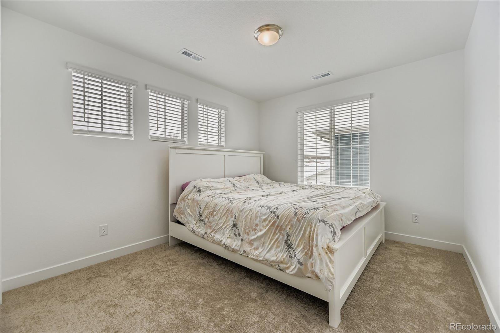 MLS Image #19 for 10912  snowdon street,parker, Colorado