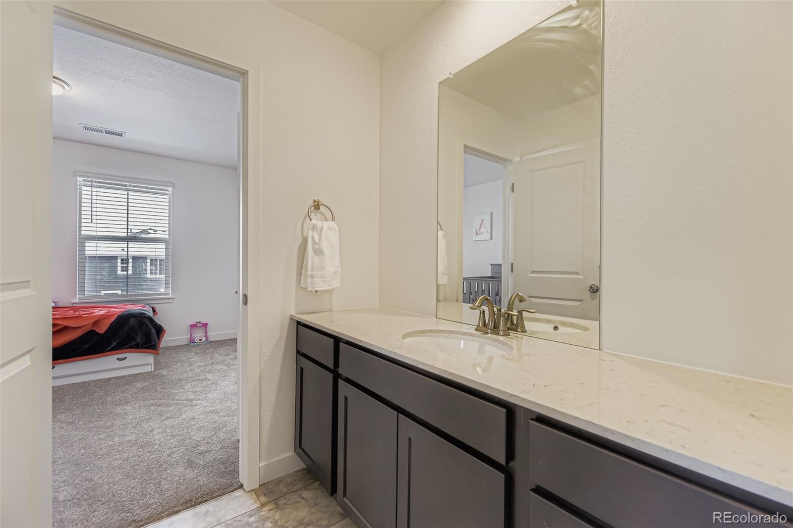 MLS Image #21 for 10912  snowdon street,parker, Colorado