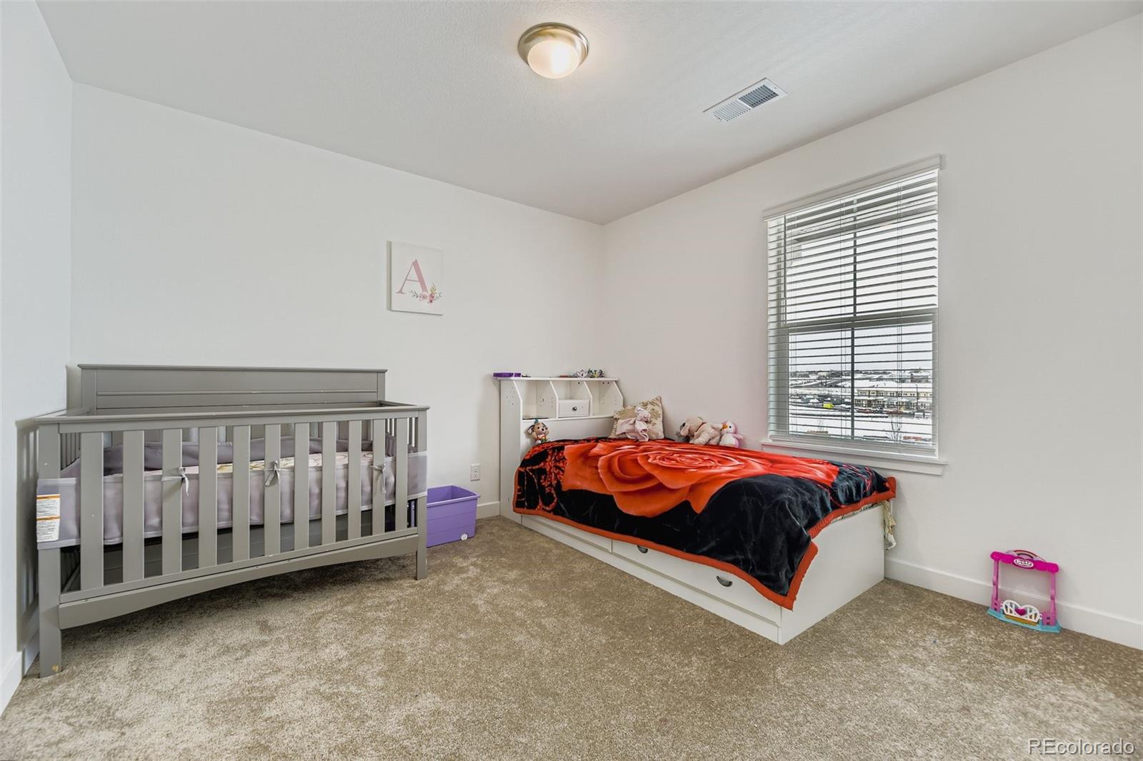 MLS Image #22 for 10912  snowdon street,parker, Colorado