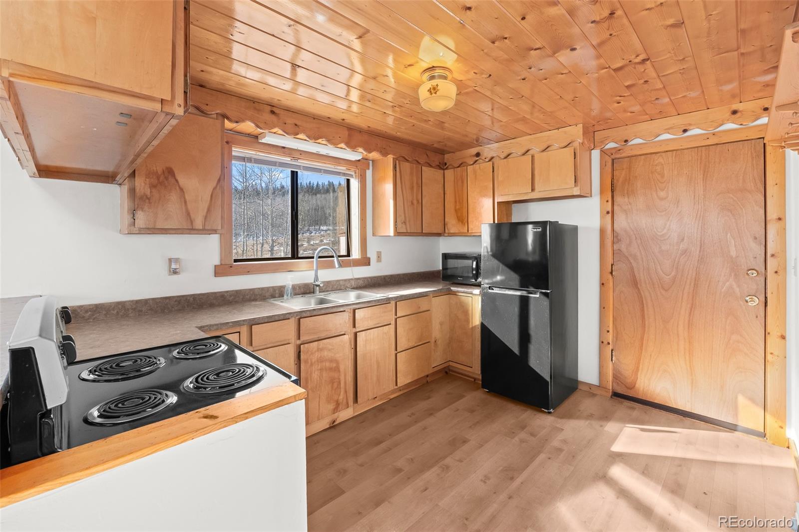 MLS Image #16 for 1793  michigan hill road,jefferson, Colorado
