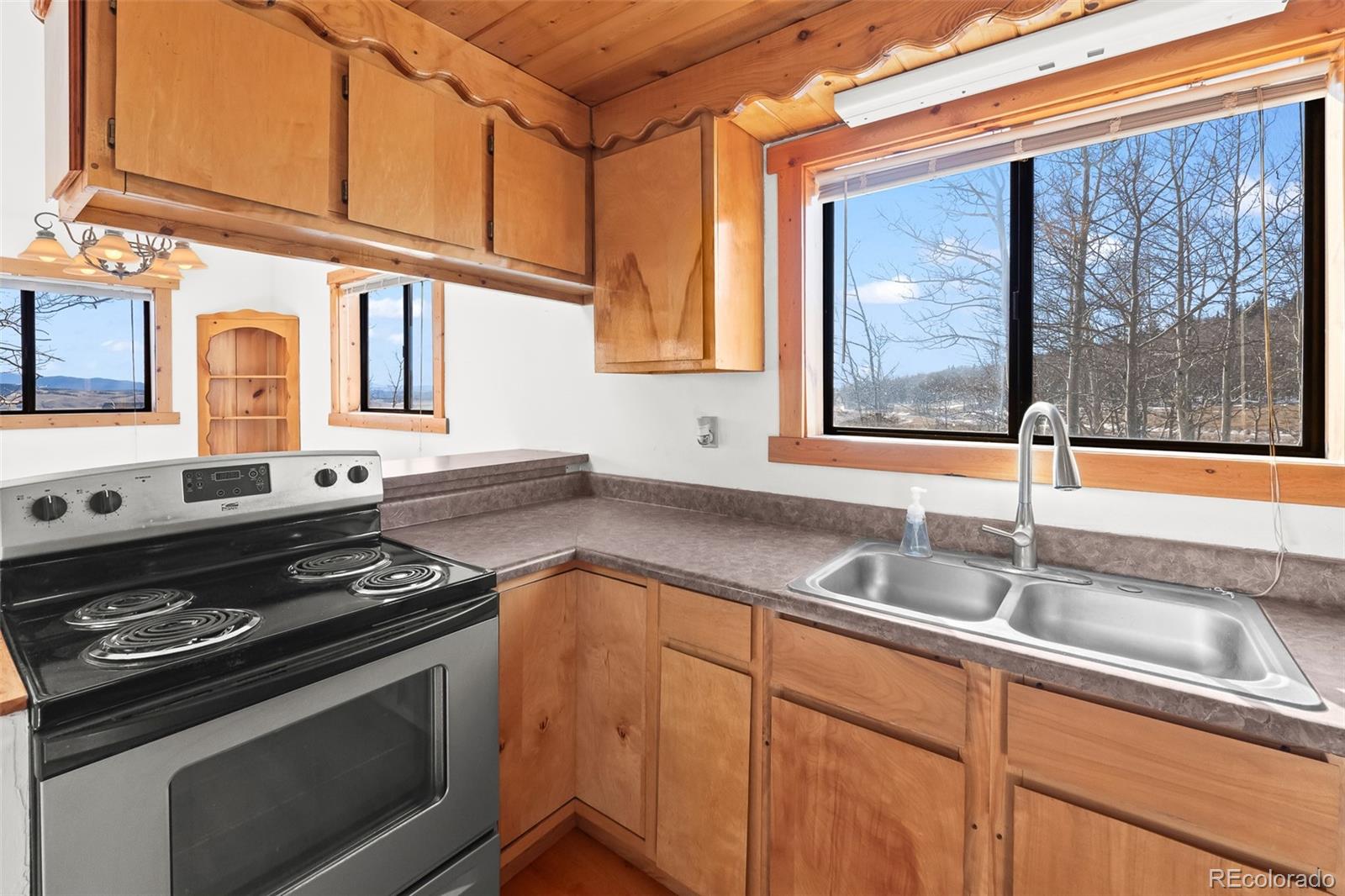 MLS Image #19 for 1793  michigan hill road,jefferson, Colorado