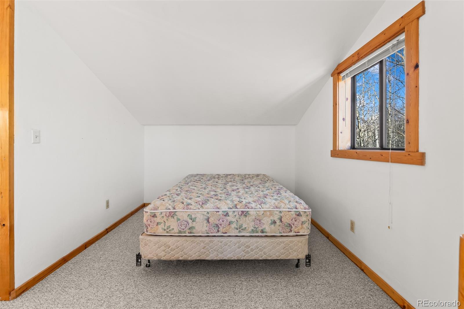 MLS Image #31 for 1793  michigan hill road,jefferson, Colorado