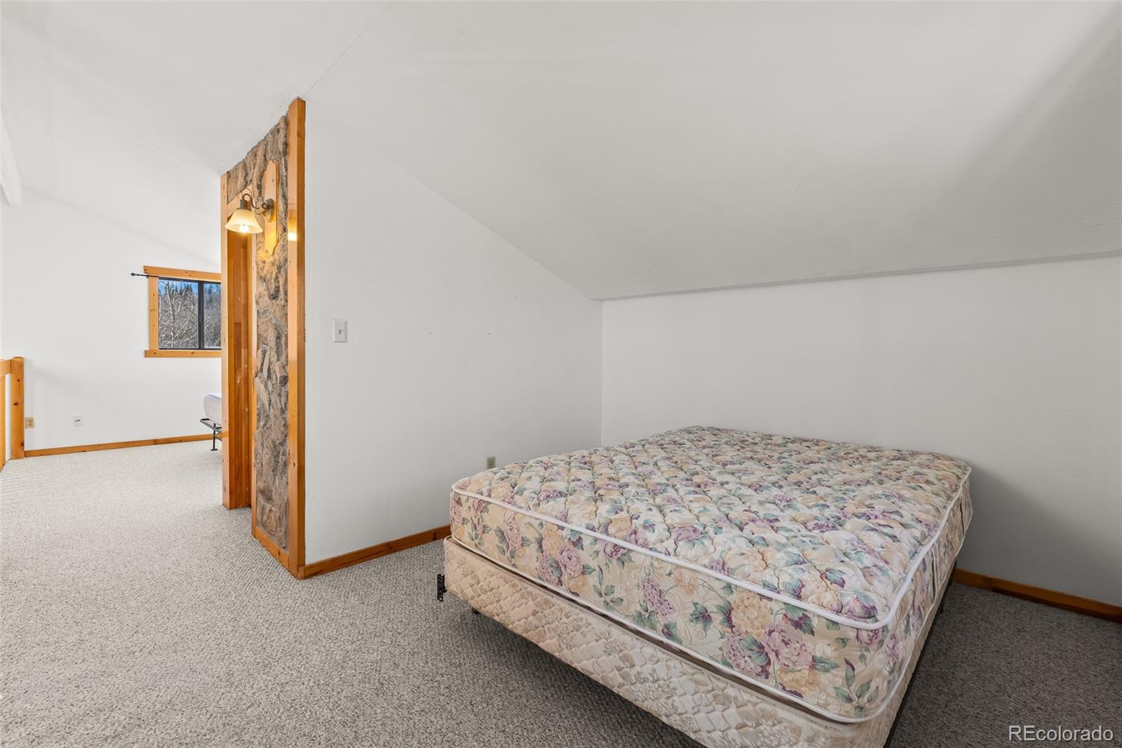 MLS Image #32 for 1793  michigan hill road,jefferson, Colorado