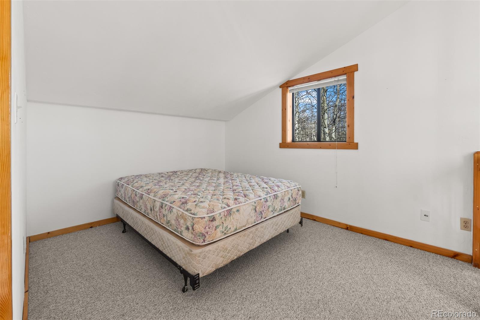 MLS Image #33 for 1793  michigan hill road,jefferson, Colorado
