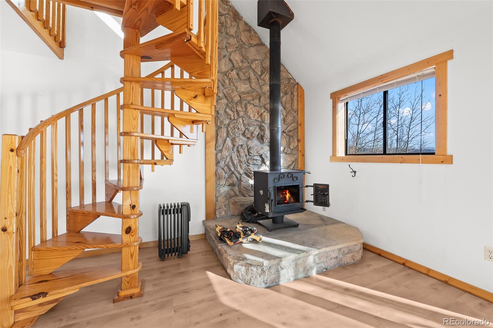 MLS Image #9 for 1793  michigan hill road,jefferson, Colorado