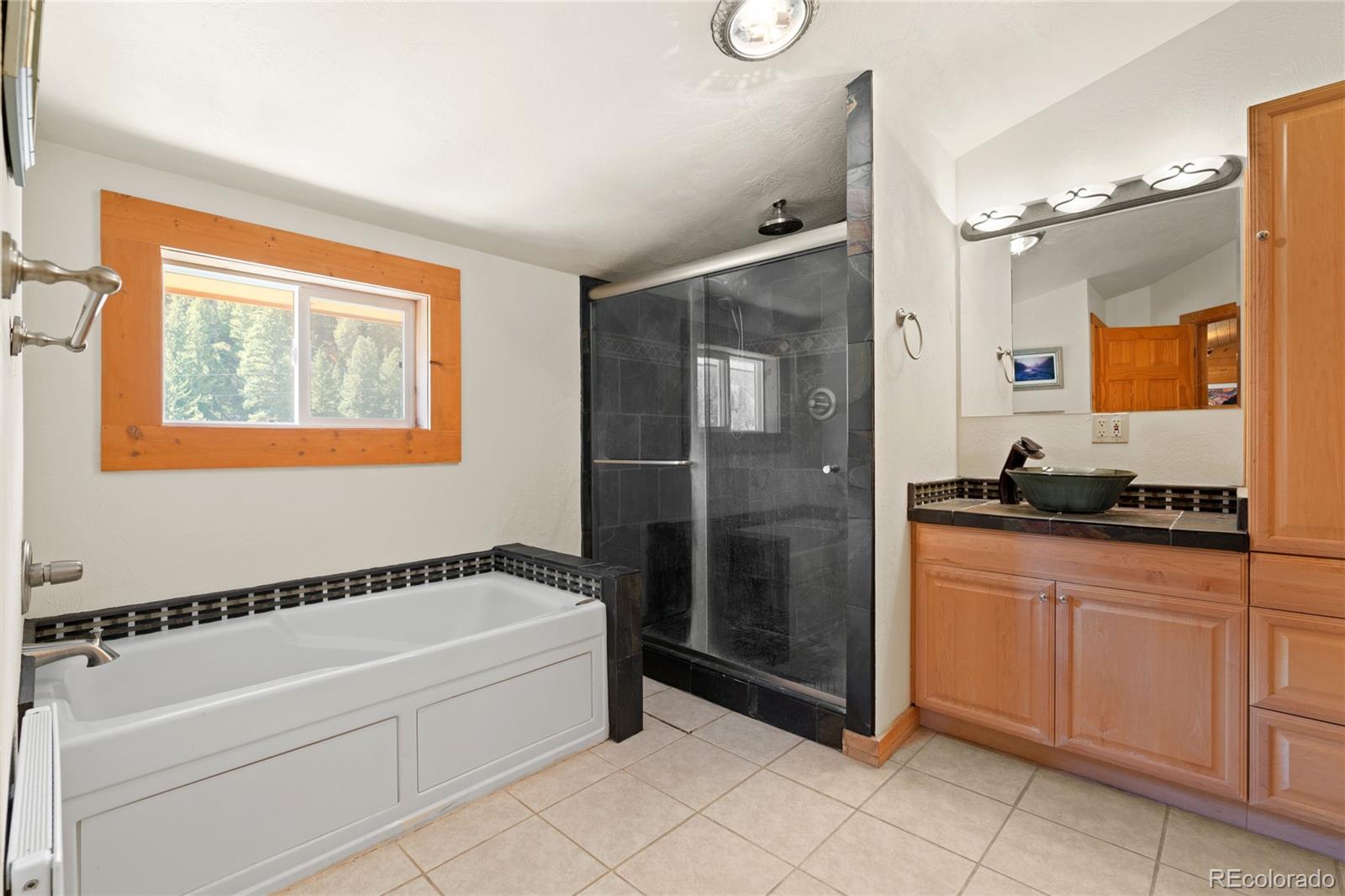 MLS Image #10 for 644  mill creek road,idaho springs, Colorado