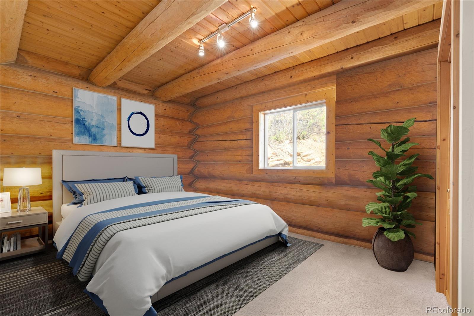 MLS Image #16 for 644  mill creek road,idaho springs, Colorado