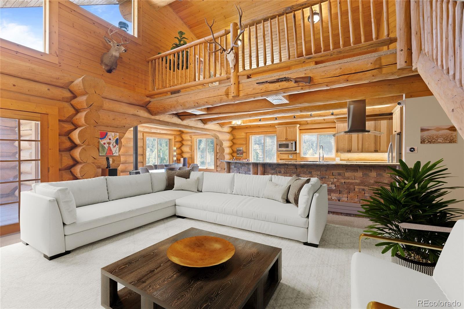 MLS Image #2 for 644  mill creek road,idaho springs, Colorado