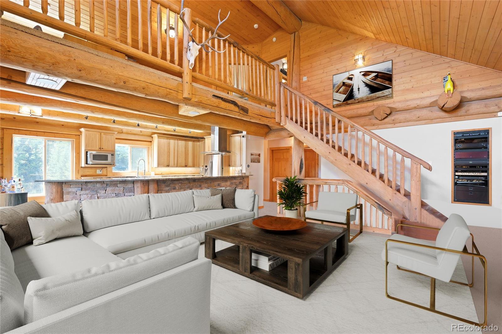 MLS Image #3 for 644  mill creek road,idaho springs, Colorado