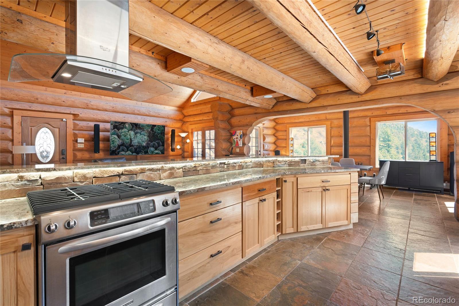 MLS Image #6 for 644  mill creek road,idaho springs, Colorado