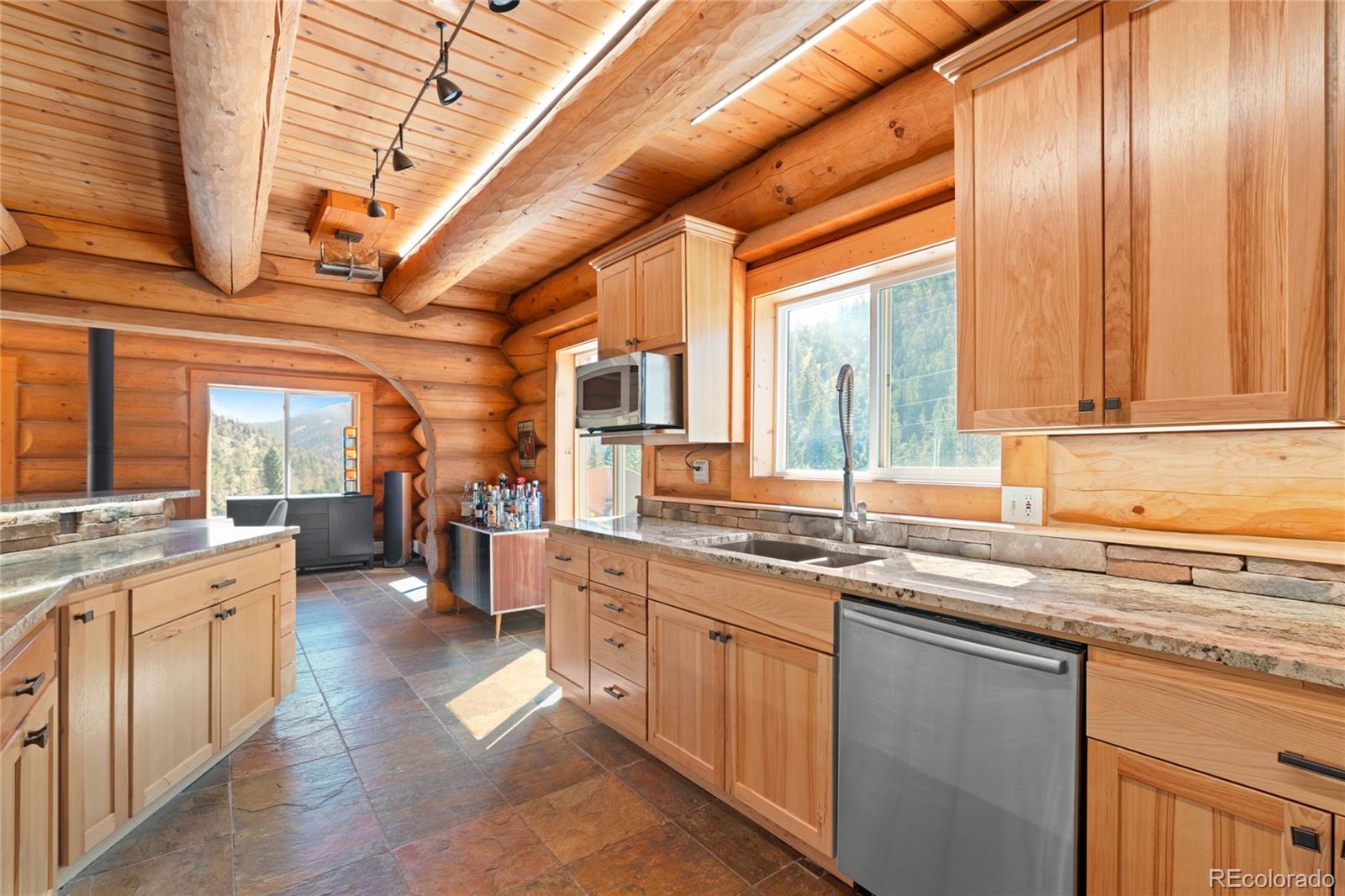 MLS Image #7 for 644  mill creek road,idaho springs, Colorado